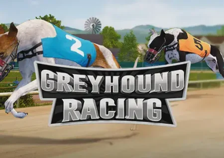 Greyhound Racing 