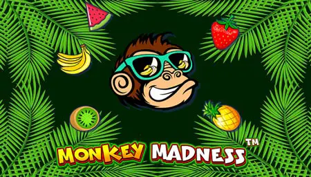 Monkey Madness 