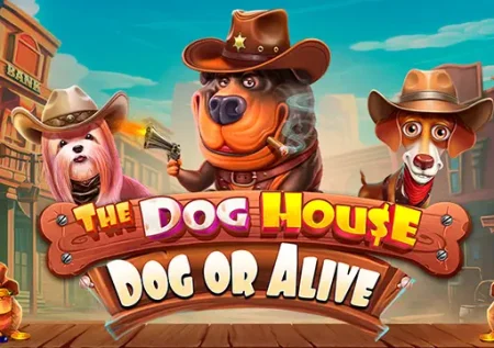 The Dog House – Dog or Alive 