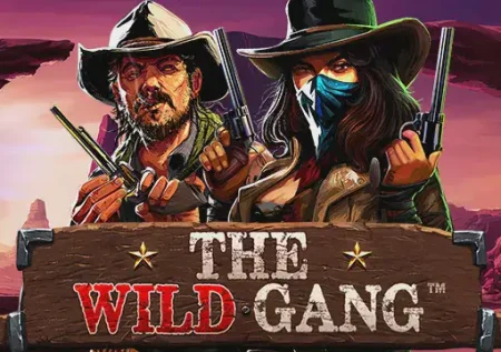 The Wild Gang 